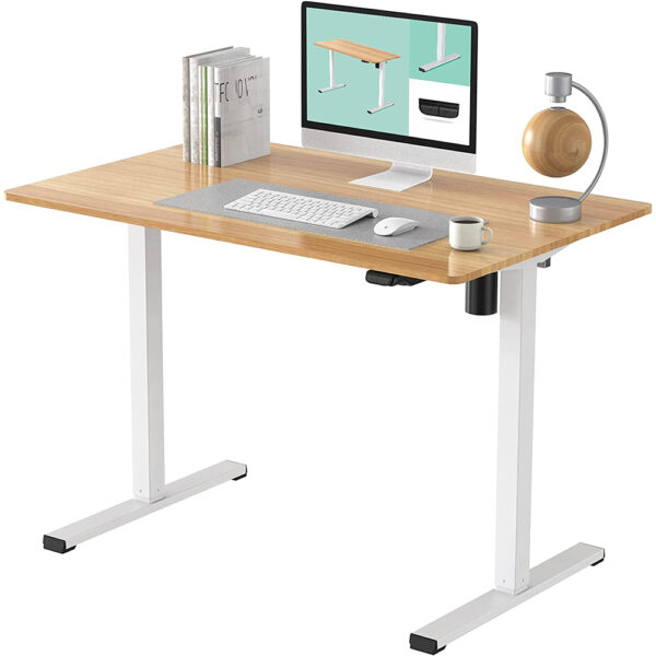 FLEXISPOT Standing Desk 48 x 24 Inches Height Adjustable Desk